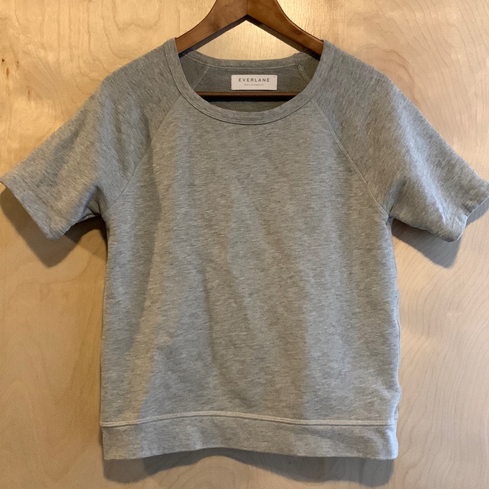 Everlane grey sweatshirt tee